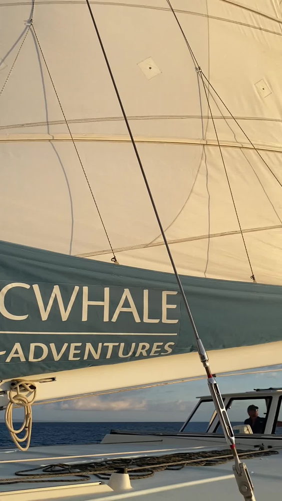 Slip 4 - Pacwhale Eco Adventures