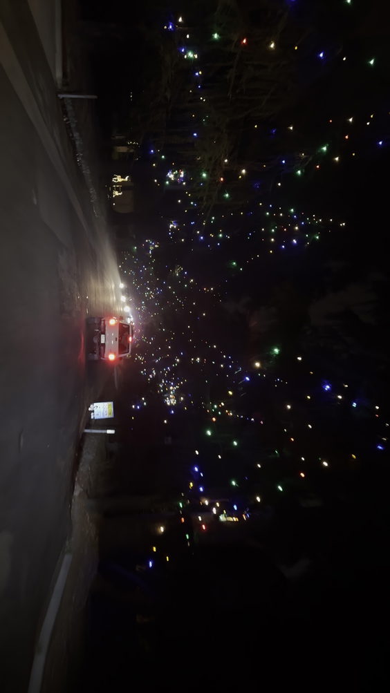 Christmas Tree Lane