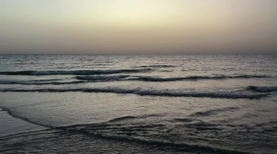 ابو حليفه