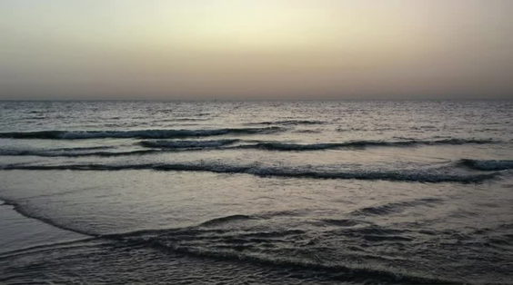 ابو حليفه