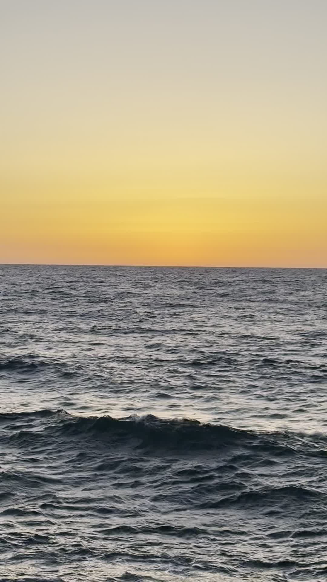 Banana Beach (בננה ביץ')