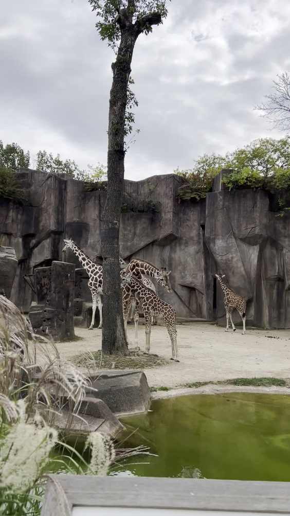 Milwaukee County Zoo