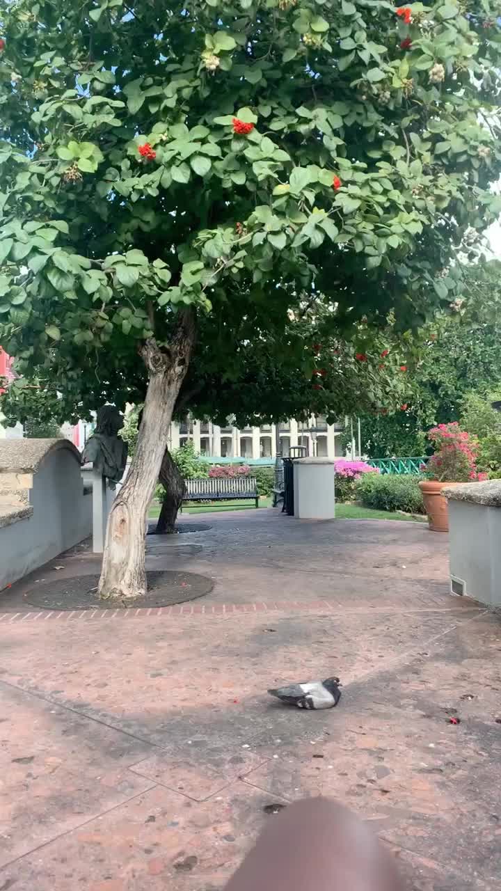 Old San Juan