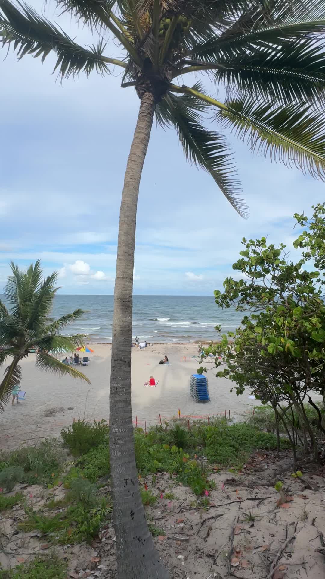 Red Reef Park Executive Golf Course