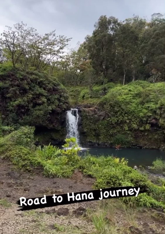 Road To Hana Mile Marker Zero (Route 360)