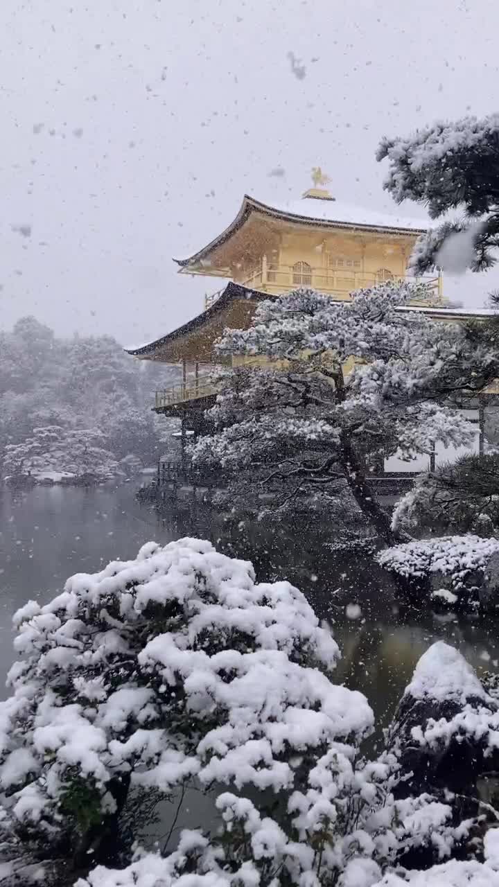 鹿苑寺 (金閣寺) (Kinkaku-Ji Temple)