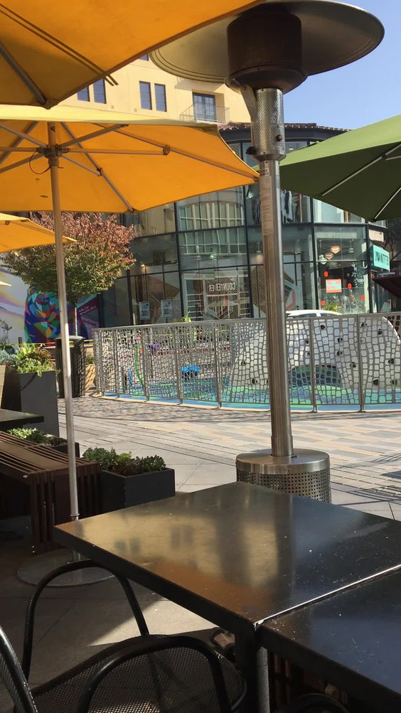 Veggie Grill - Santana Row