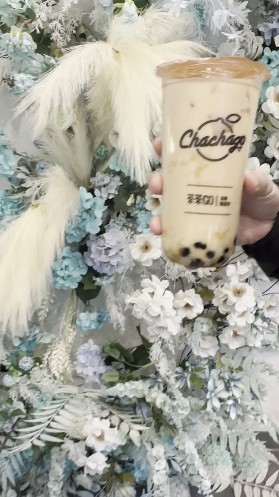 Video review of Chachago