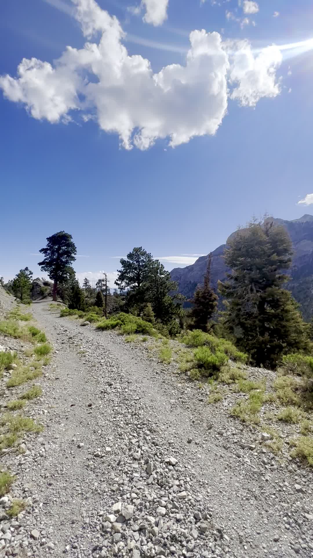 Upper Bristlecone Trail