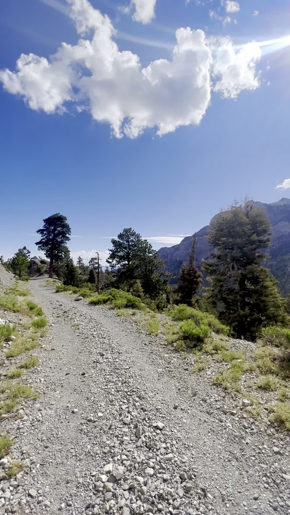 Upper Bristlecone Trail