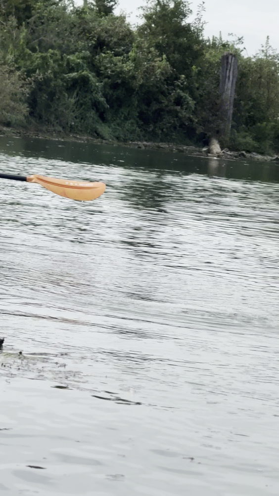 Don River