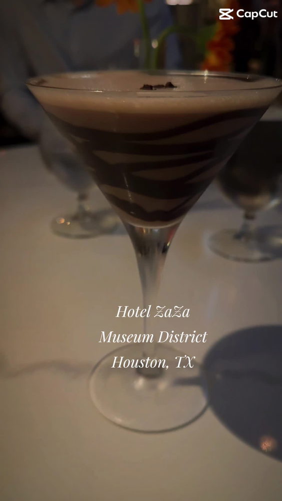 Hotel ZaZa Houston Museum District