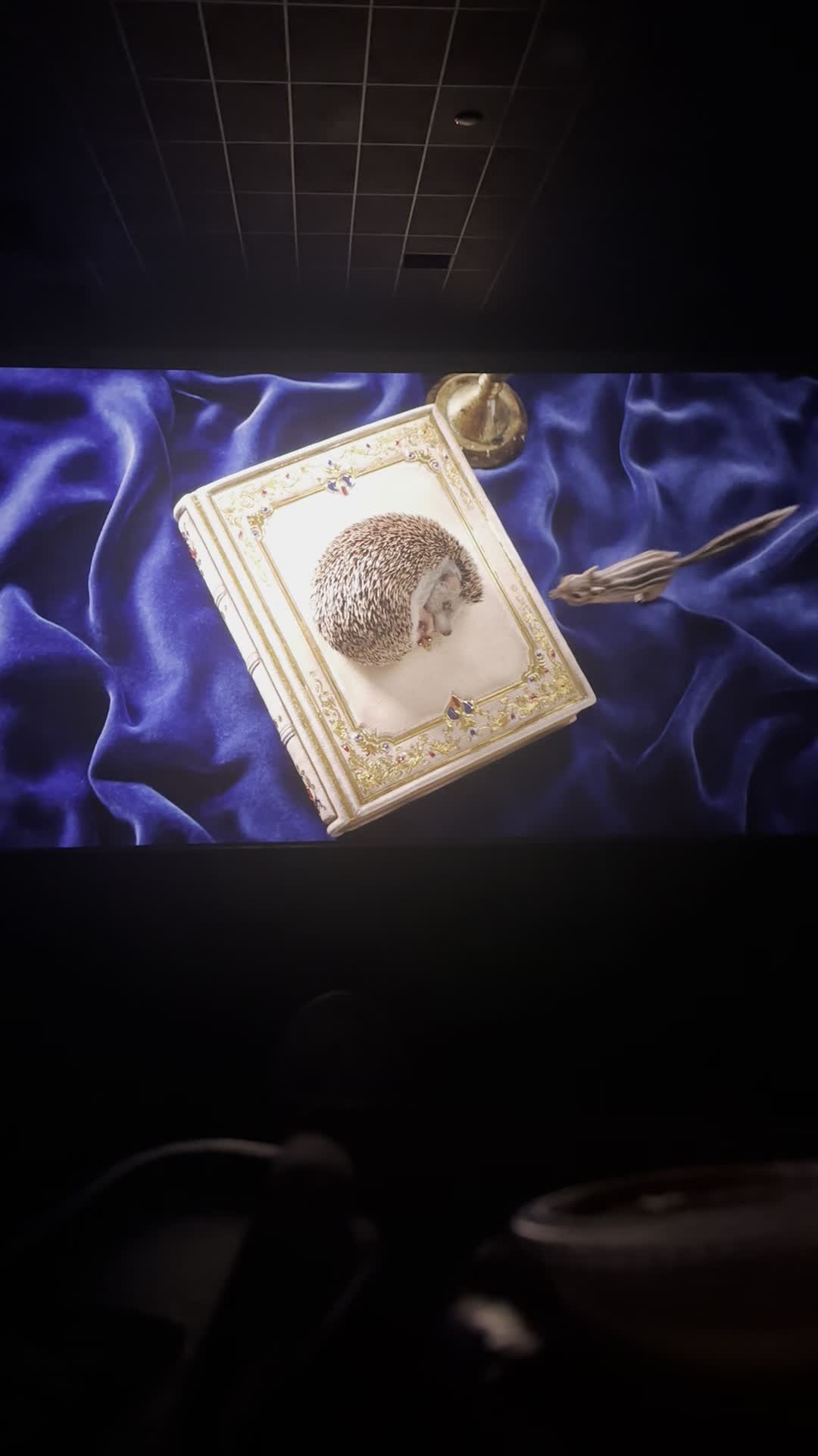 Video review of Galaxy Riverbank Theatres