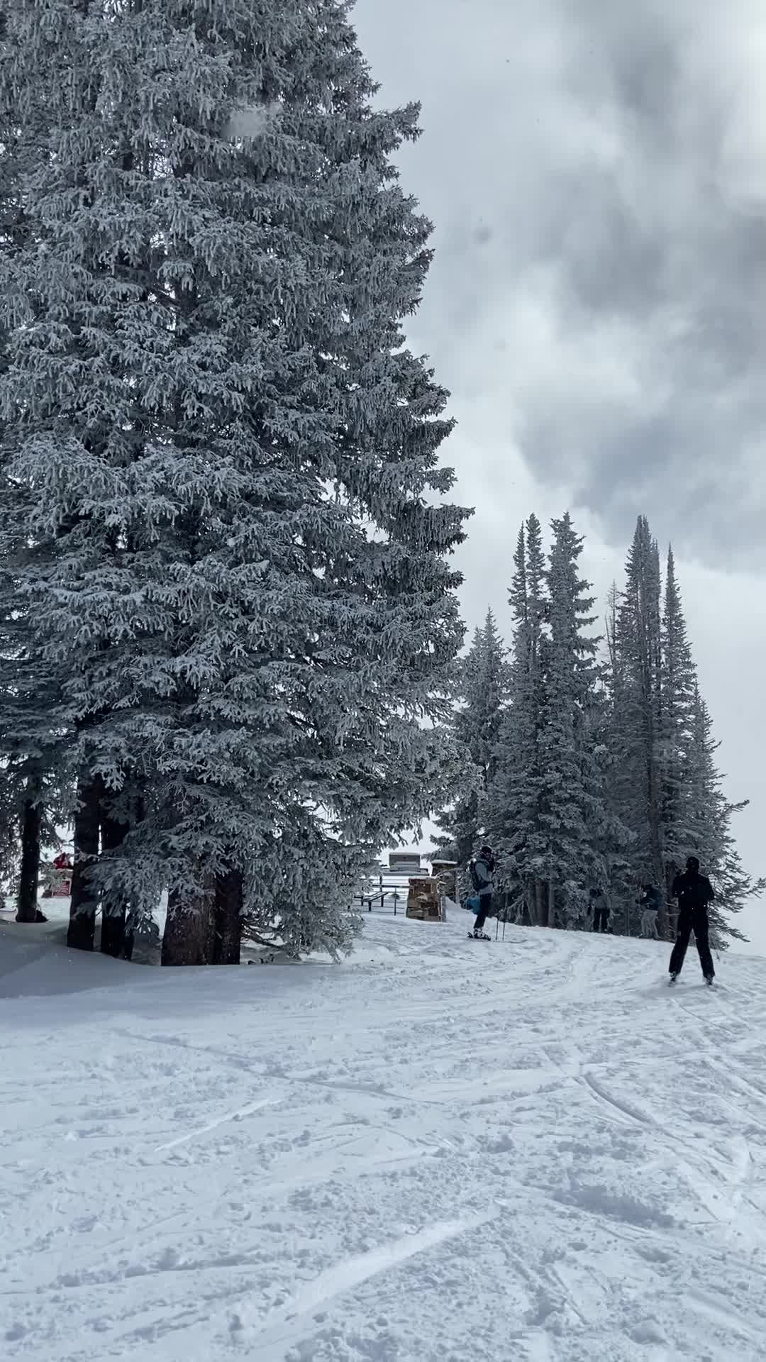 Vail Mountain Top