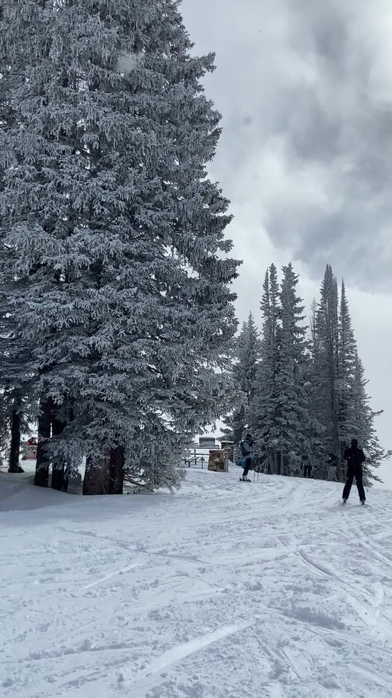 Vail Mountain Top