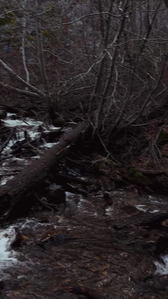 Hunter Creek Trail