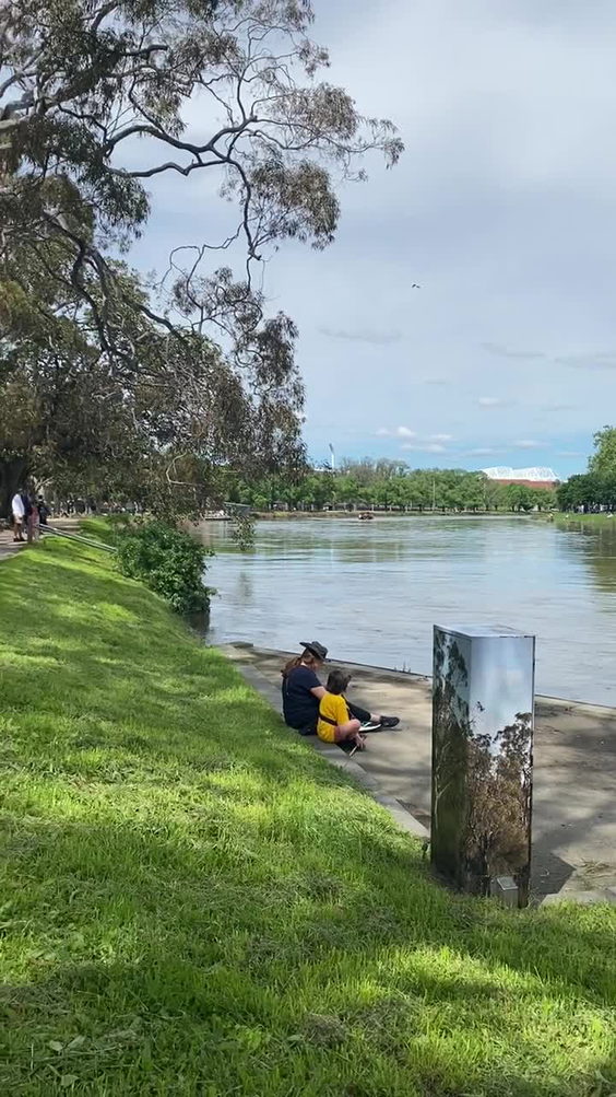 Yarra River cruises