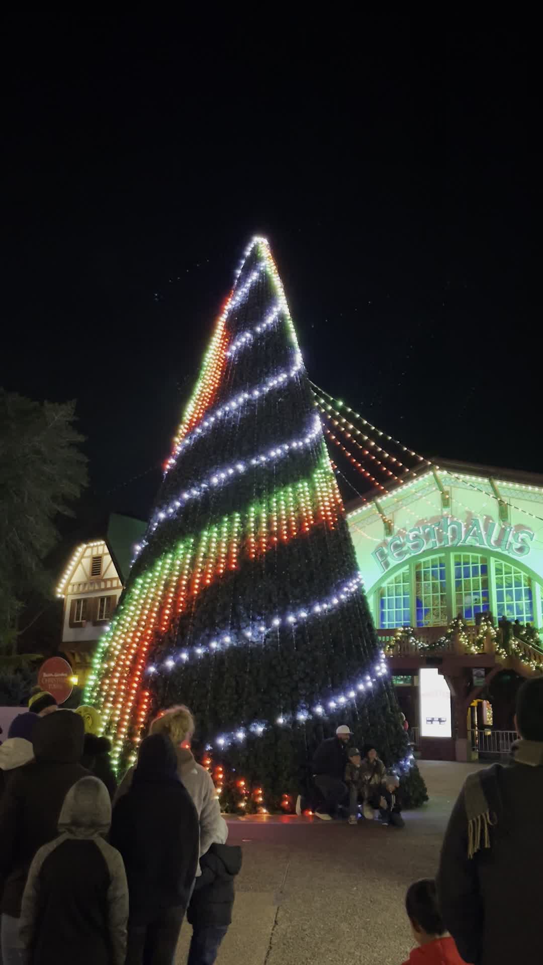 Video review of Das Festhaus