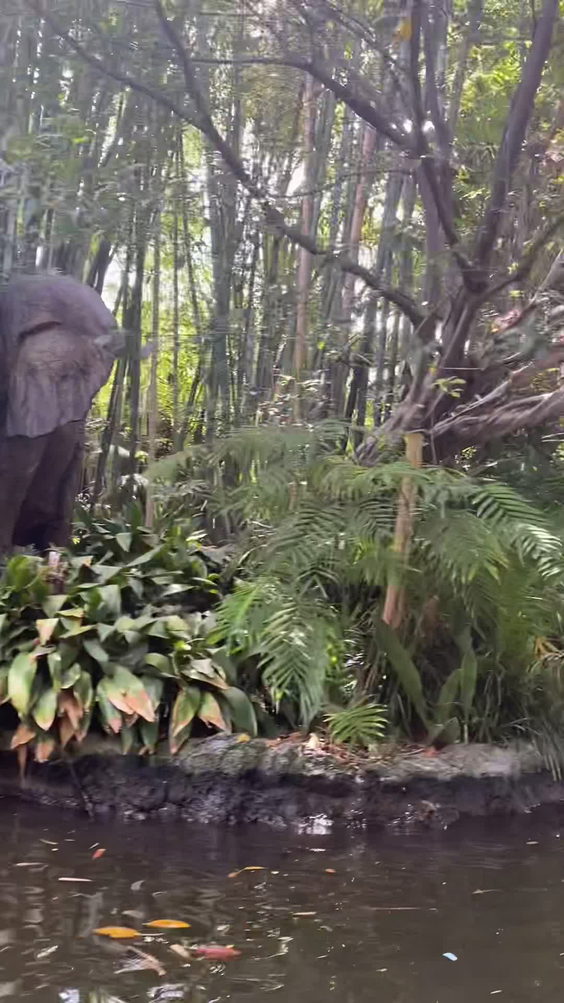 Jungle Cruise