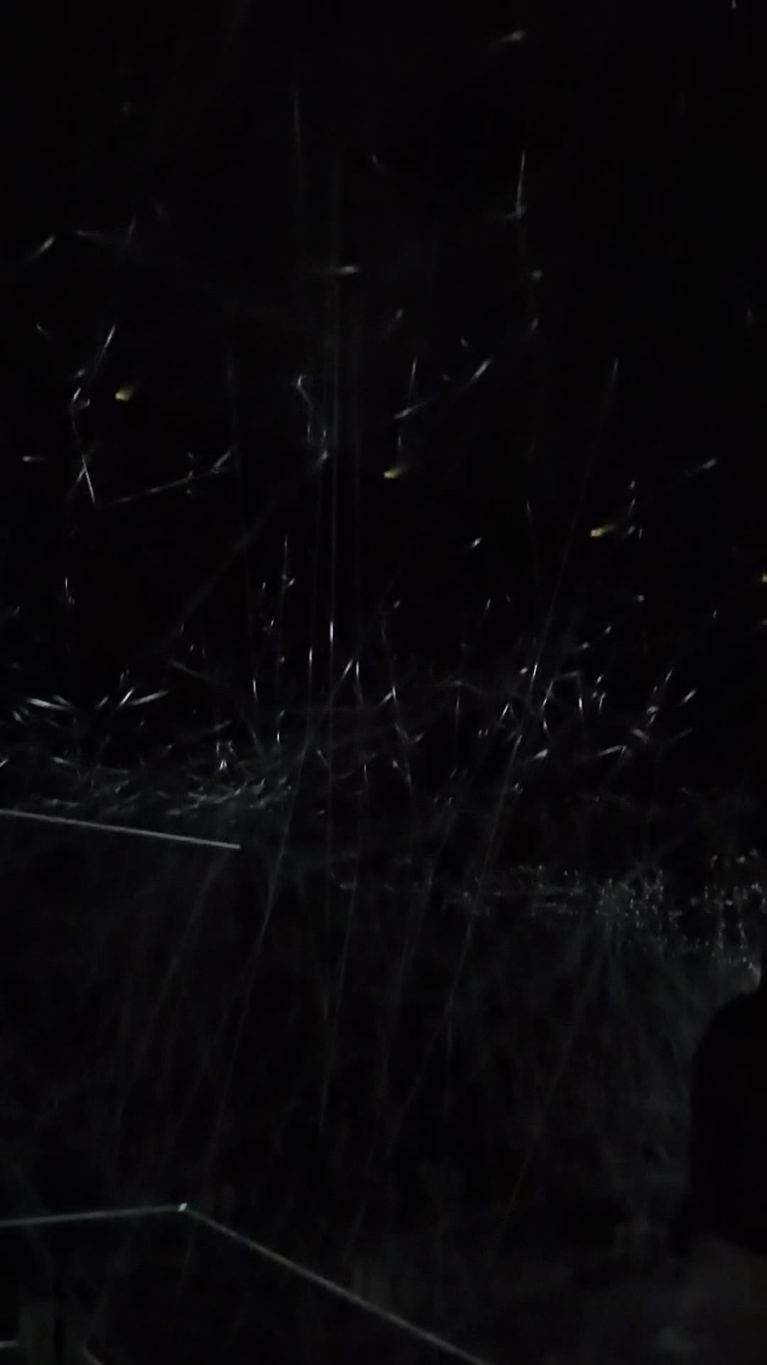 Wonderspaces