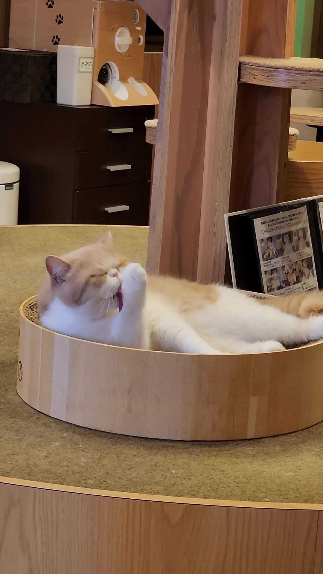 ???? MOCHA