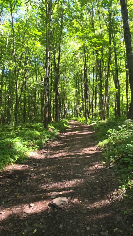 Bramley Mountain Trail
