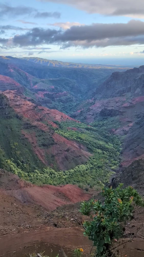 Waimea can6