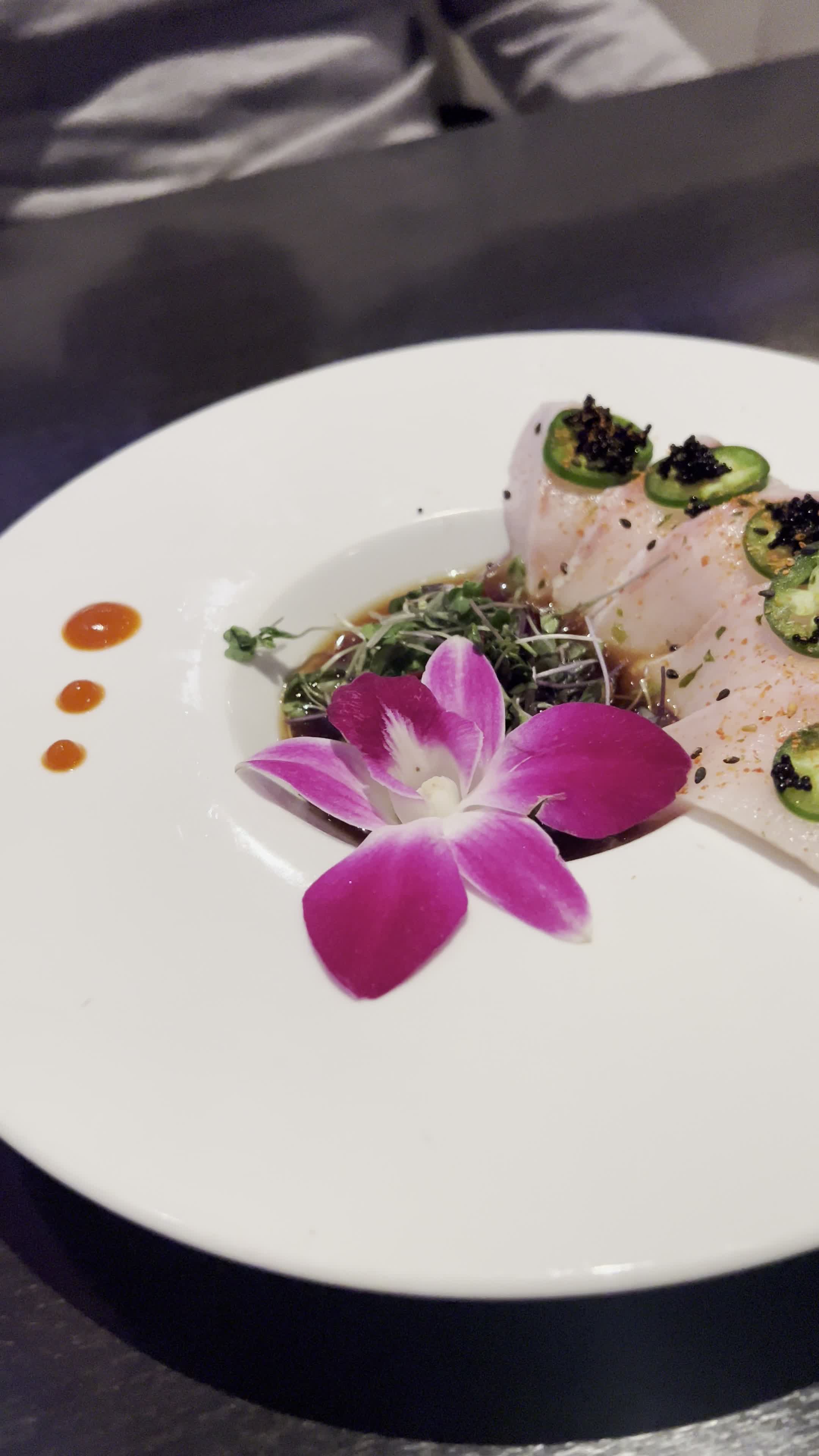 Octopus Japanese Restaurant