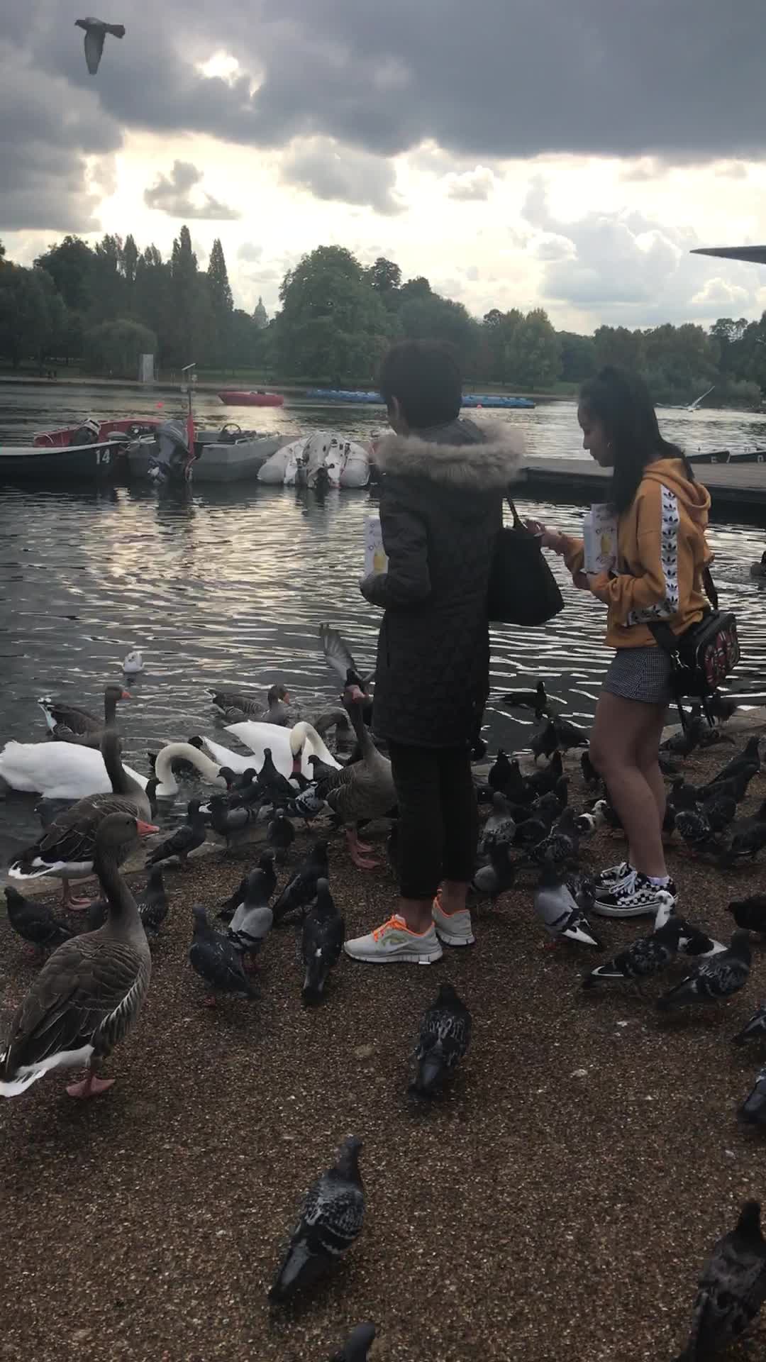 Video review of Hyde Park