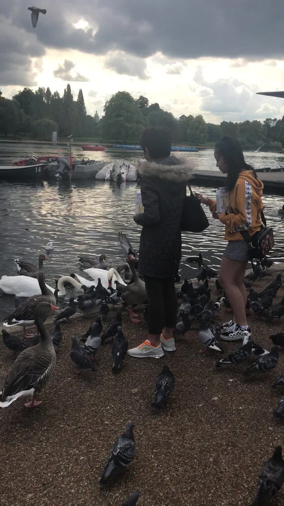 Hyde Park
