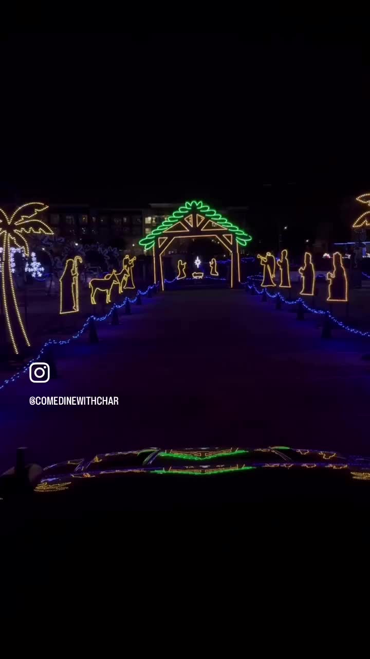 The light park