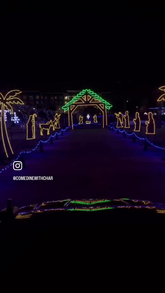 The light park