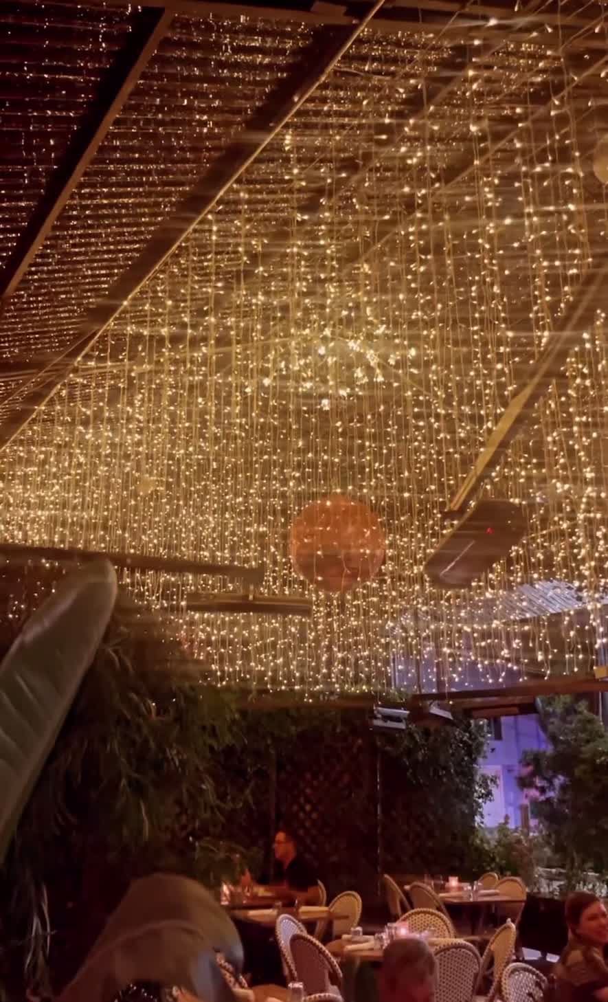 Video review of WeHo Bistro