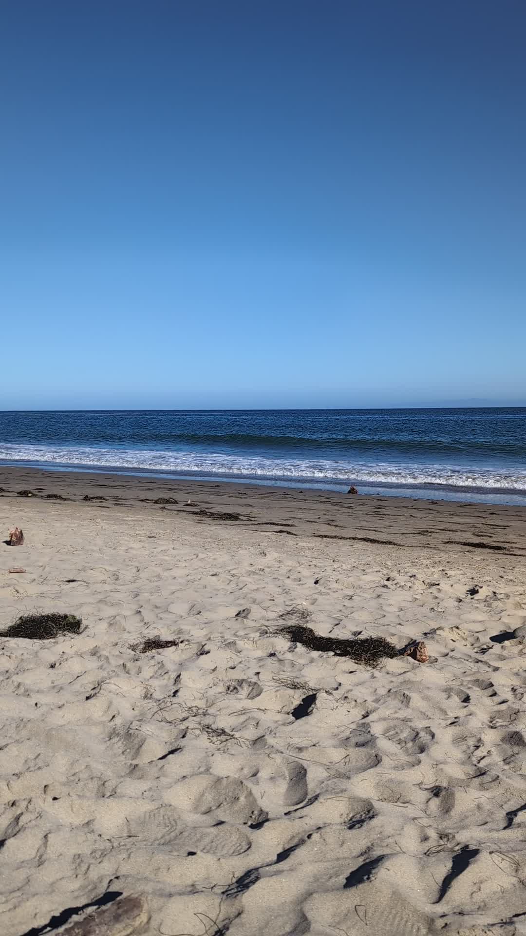 Refugio State Beach