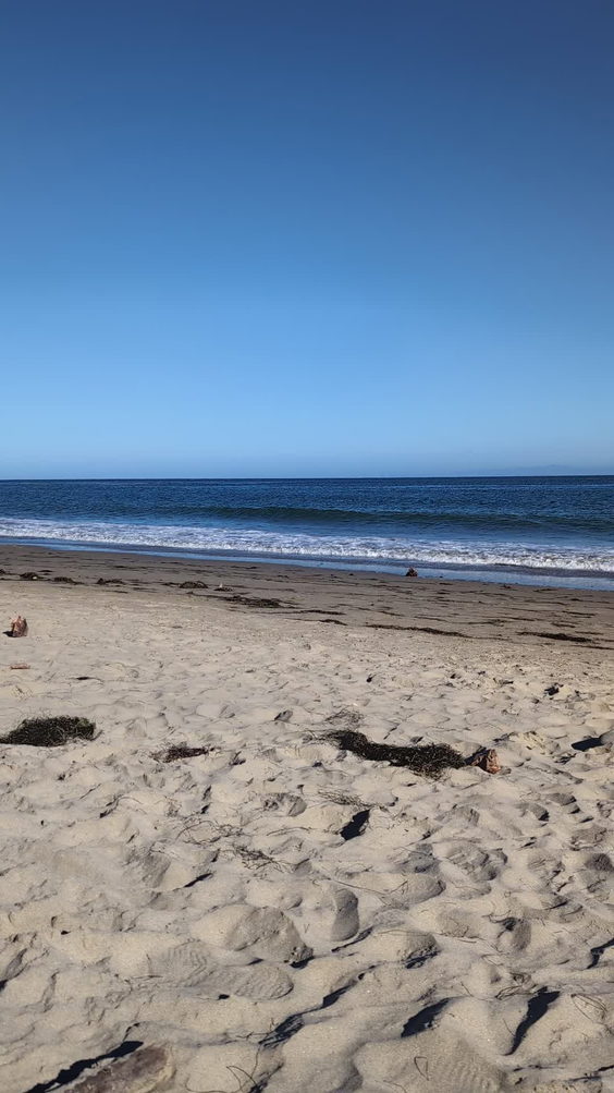 Refugio State Beach