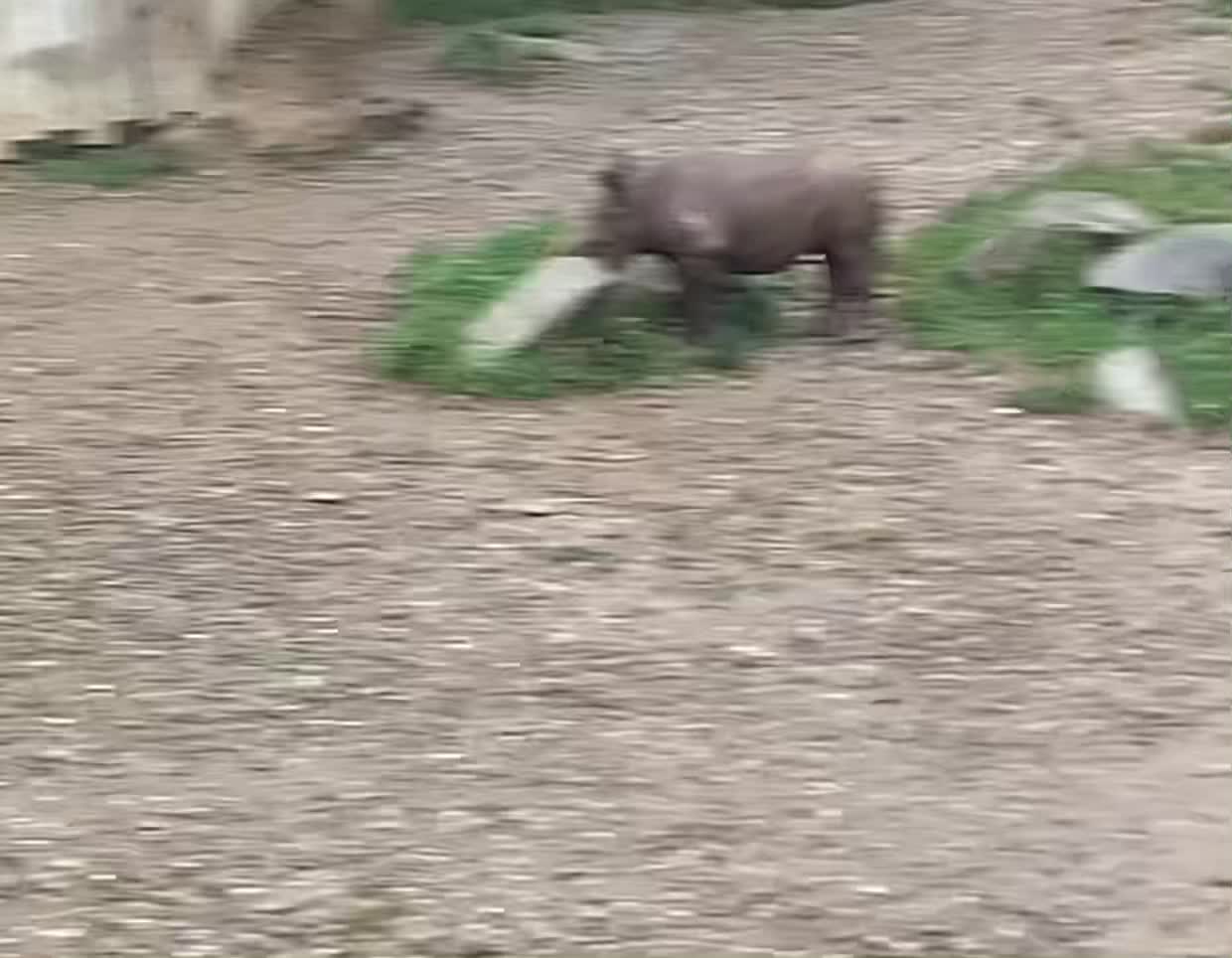 Cleveland Metroparks Zoo