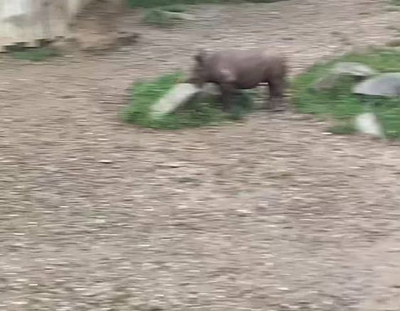 Cleveland Metroparks Zoo