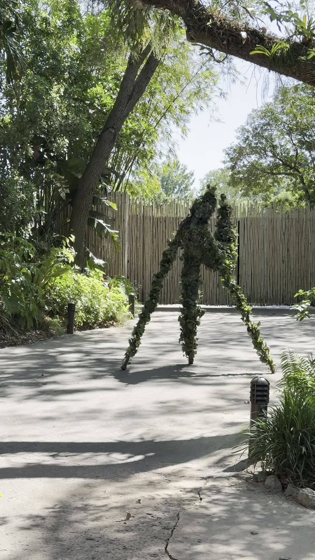 Disney's Animal Kingdom