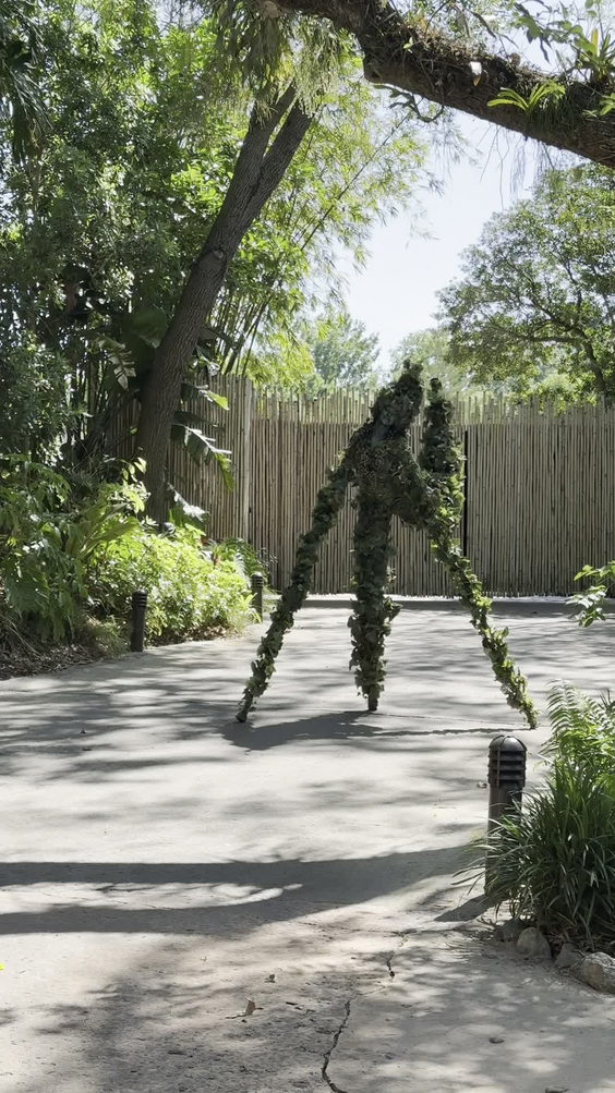 Disney's Animal Kingdom