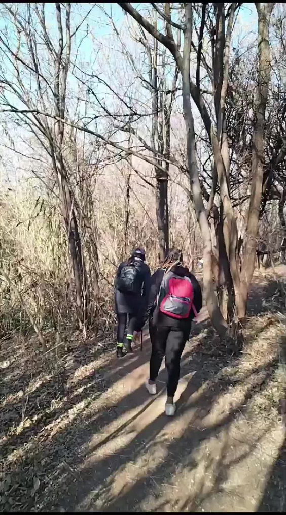Vergenoeg nature reserve and hiking trail