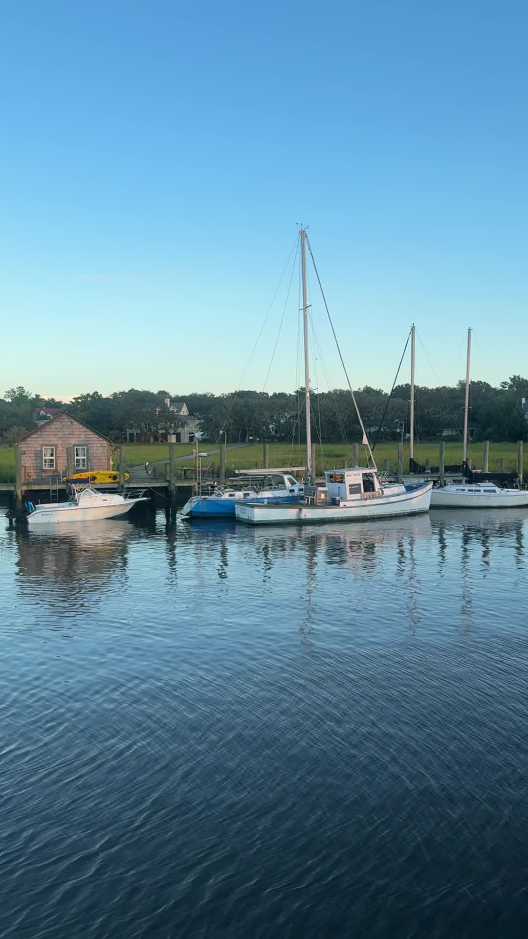 Video review of Shem Creek