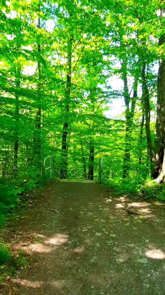 Pratts Falls Park