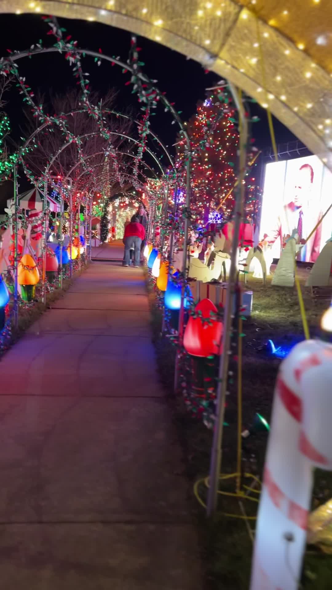 TP Christmas House
