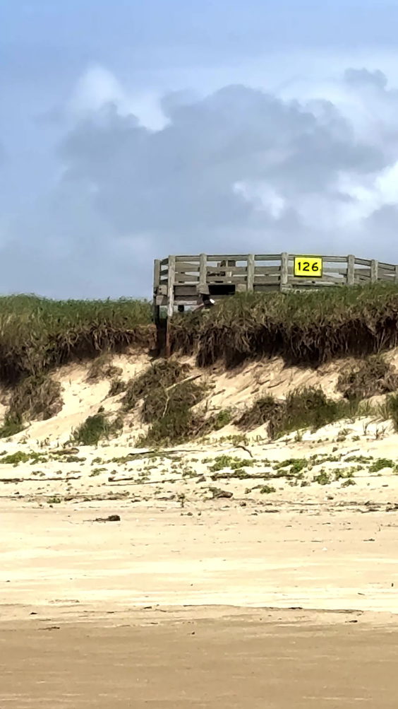 Horsfall Beach