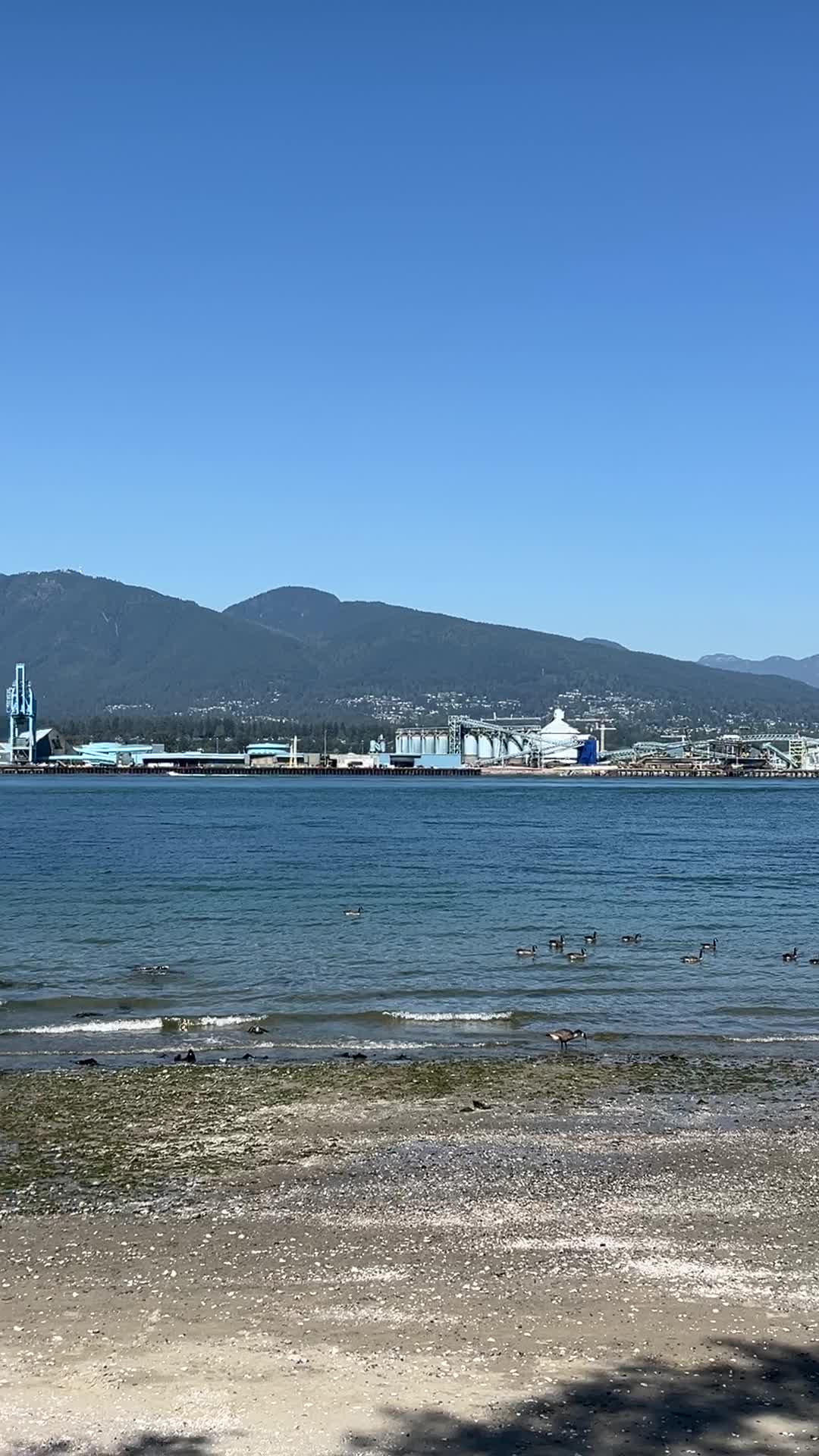 Video review of Stanley Park Harbourfront Seawall