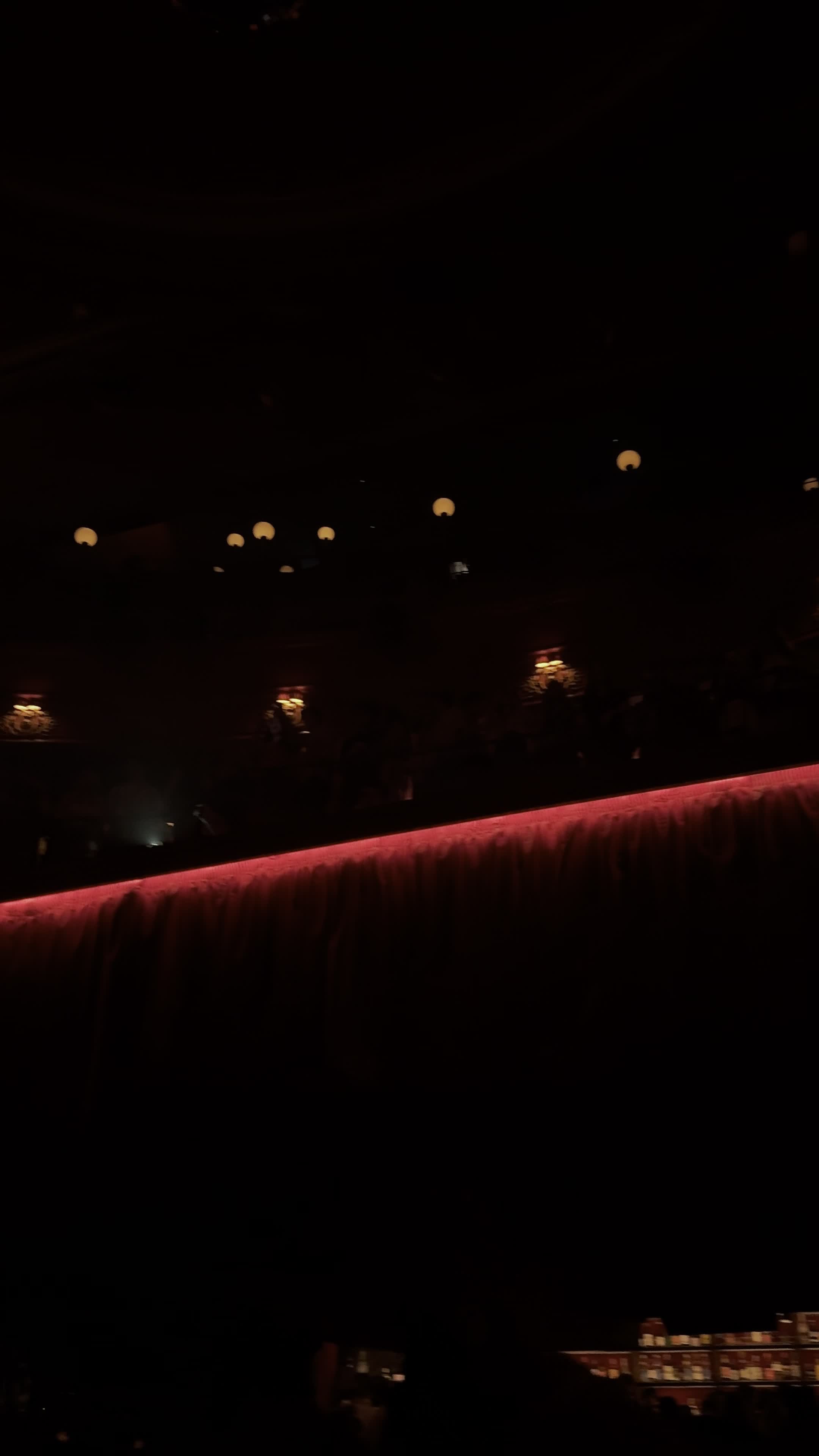 Video review of Koko