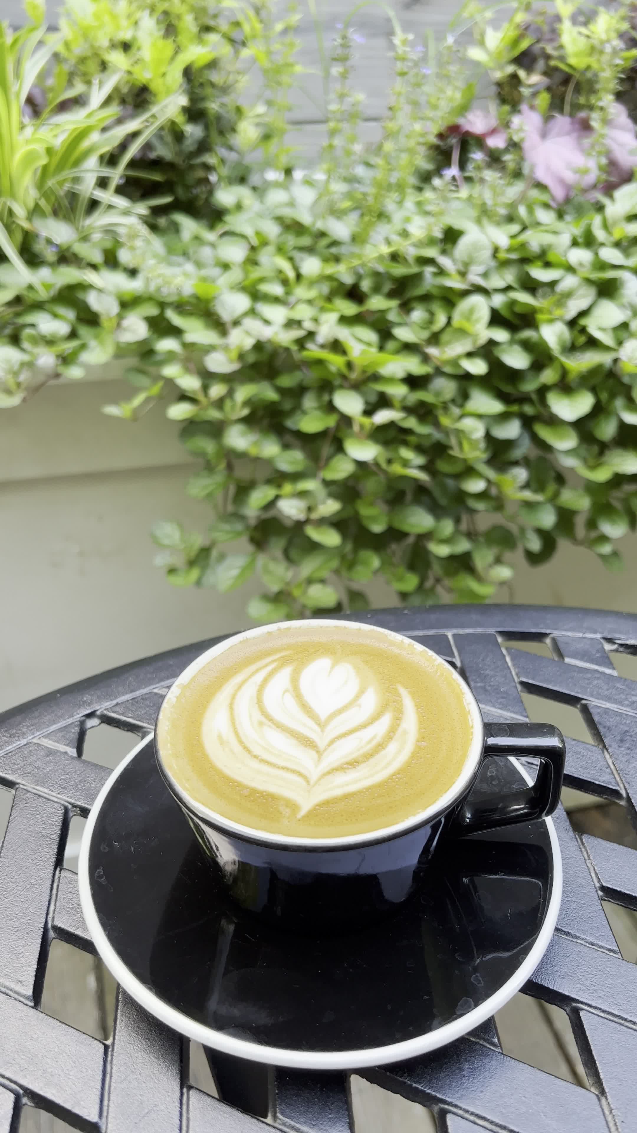 Video review of The Optimist Raleigh