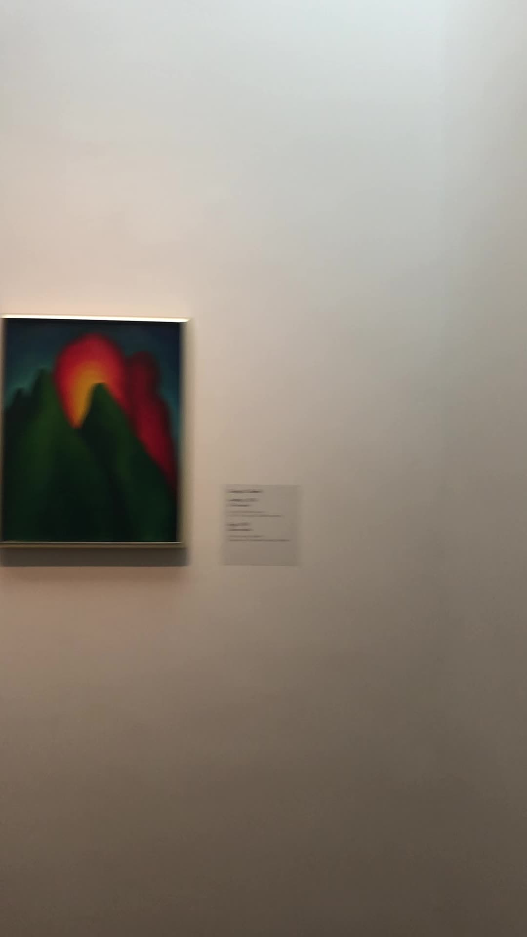 Video review of Georgia O'Keeffe Museum