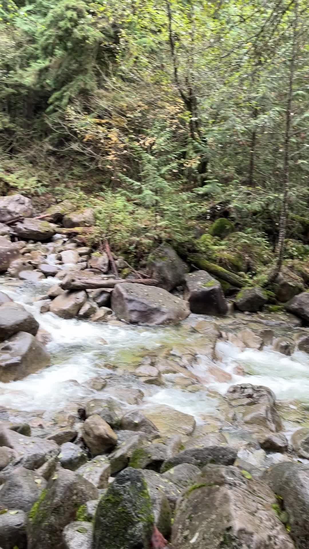 Video review of Shannon Falls Provincial Park