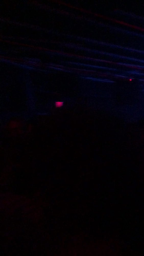 Treehouse Miami